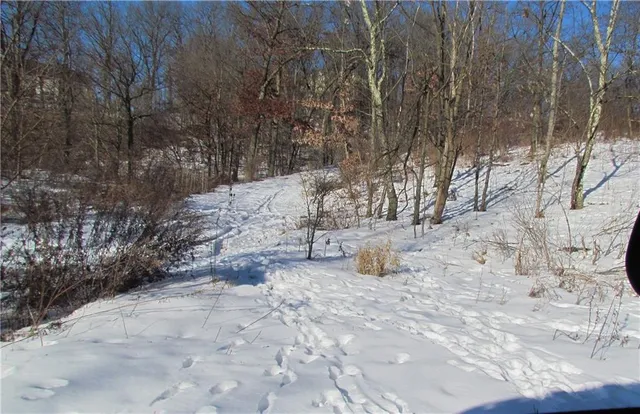 a sign board with tall trees