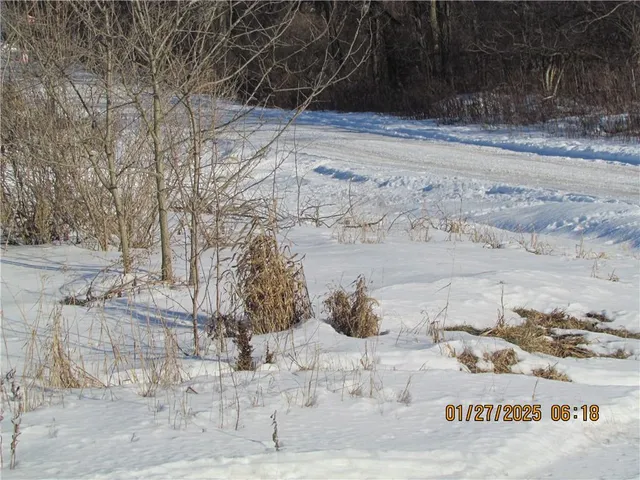 a picture of a city view