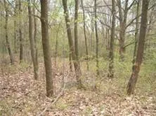 a bathroom with a shower curtain