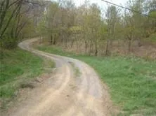 a view of a pathway both side of yard