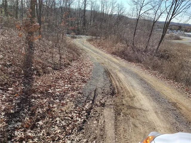 a view of a dry yard with trees