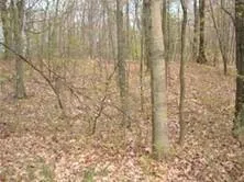 a bathroom with a shower curtain