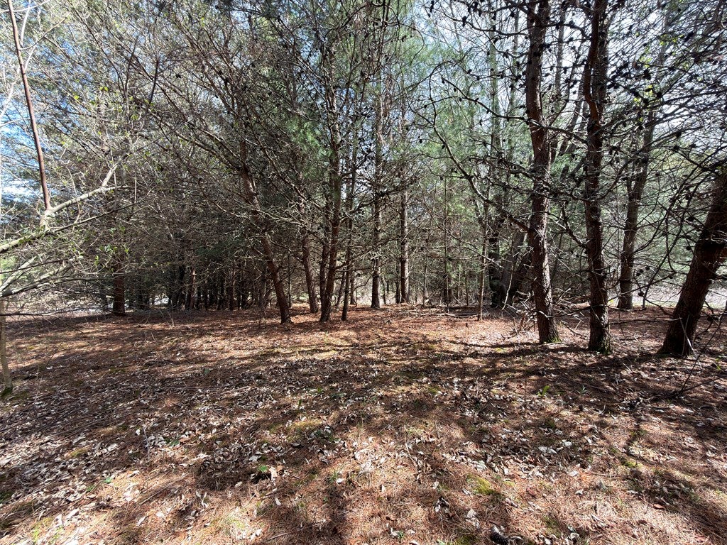 Tbd Pine Branch Road, Unit 7 & 8 Laurel Fork, VA 24352 - Photo 7 of 25 Gallery Image 7
