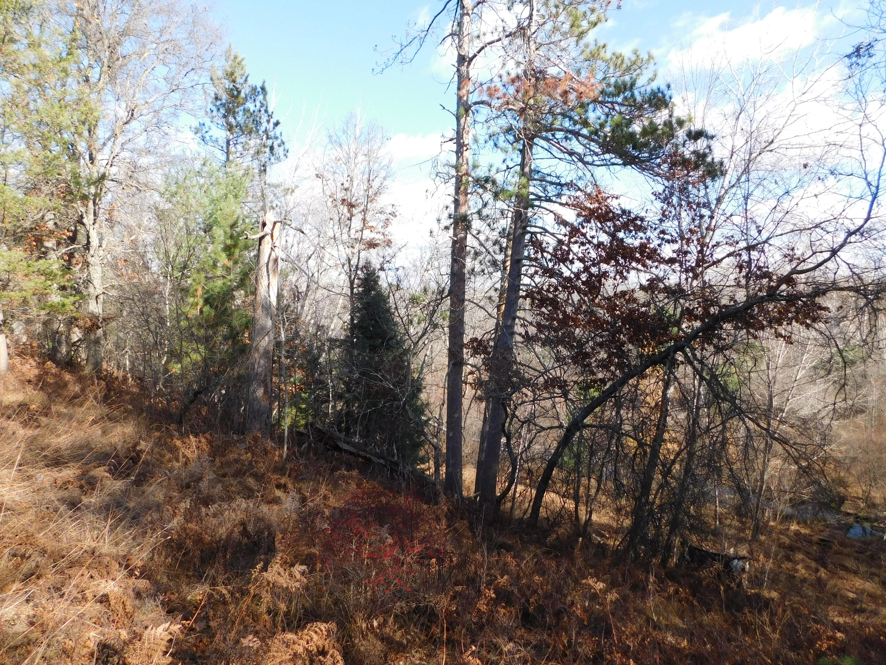 4964 Hi Banks Road Grayling, MI 49738 - Photo 46 of 60 Gallery Image 46
