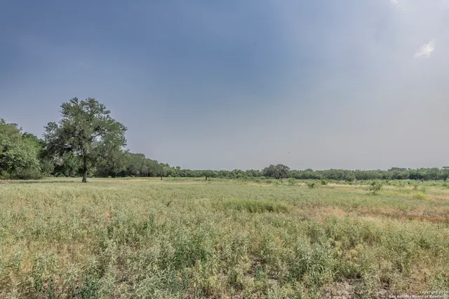 a view of a field with an trees