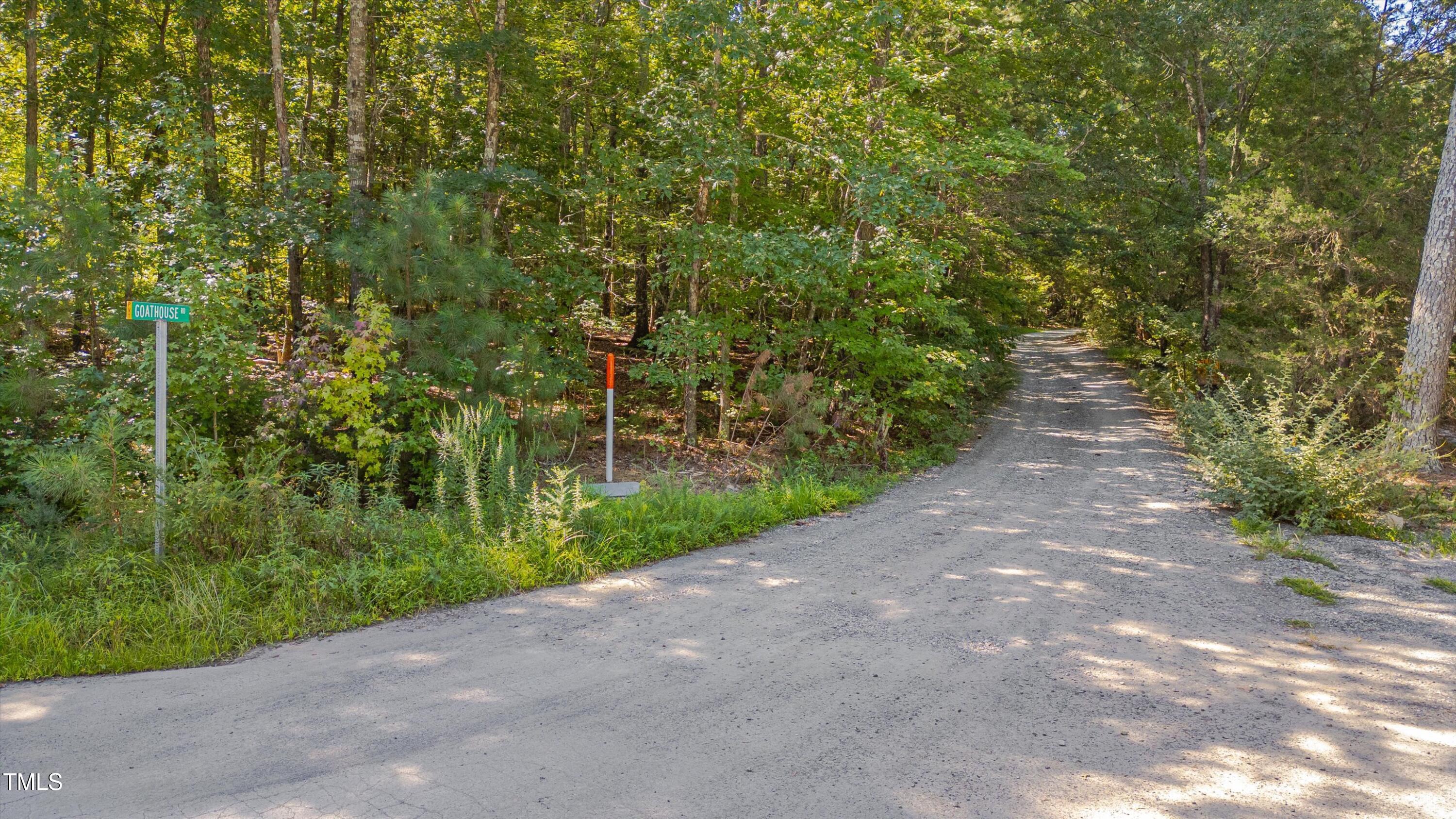 0 Goathouse Road Pittsboro, NC 27312 - Photo 2 of 9 a view of a pathway both side of yard