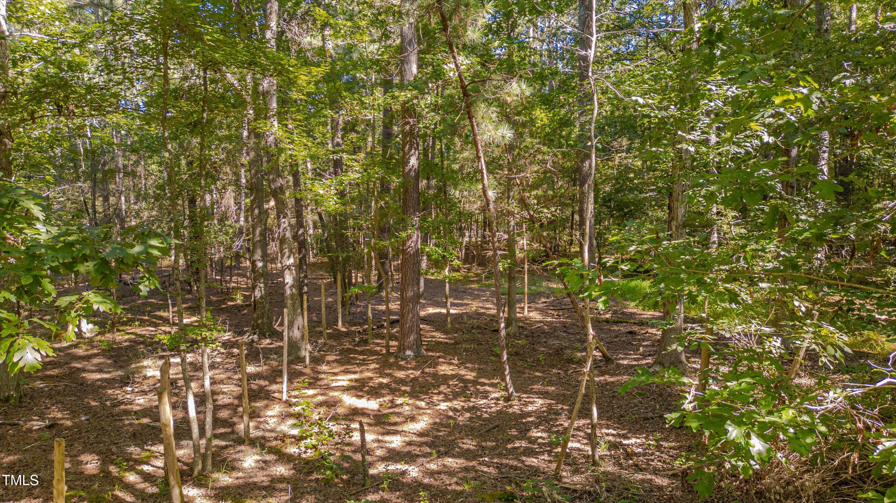 0 Goathouse Road Pittsboro, NC 27312 - Photo 5 of 9 a view of a bathroom