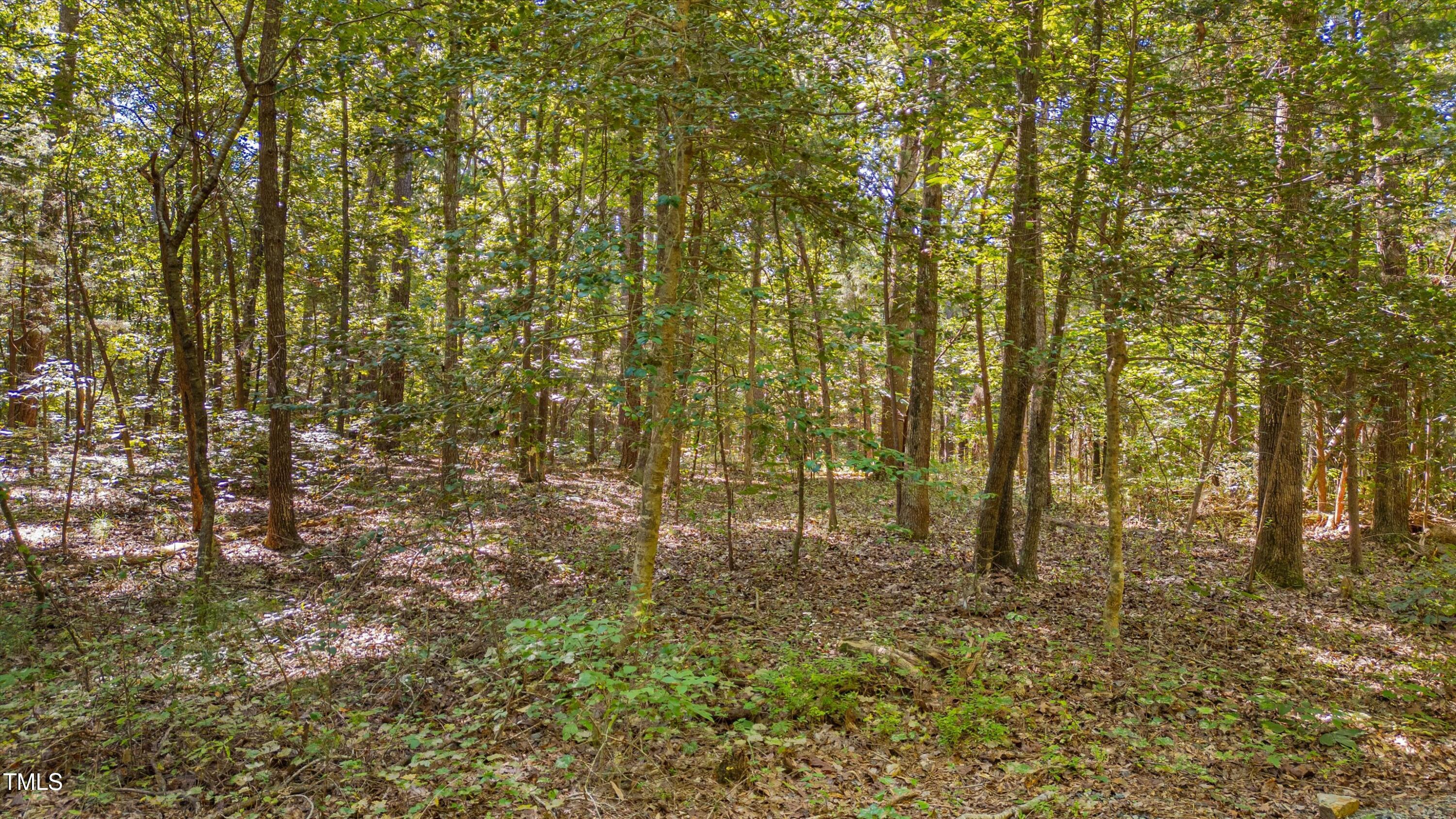 0 Goathouse Road Pittsboro, NC 27312 - Photo 6 of 9 a view of forest