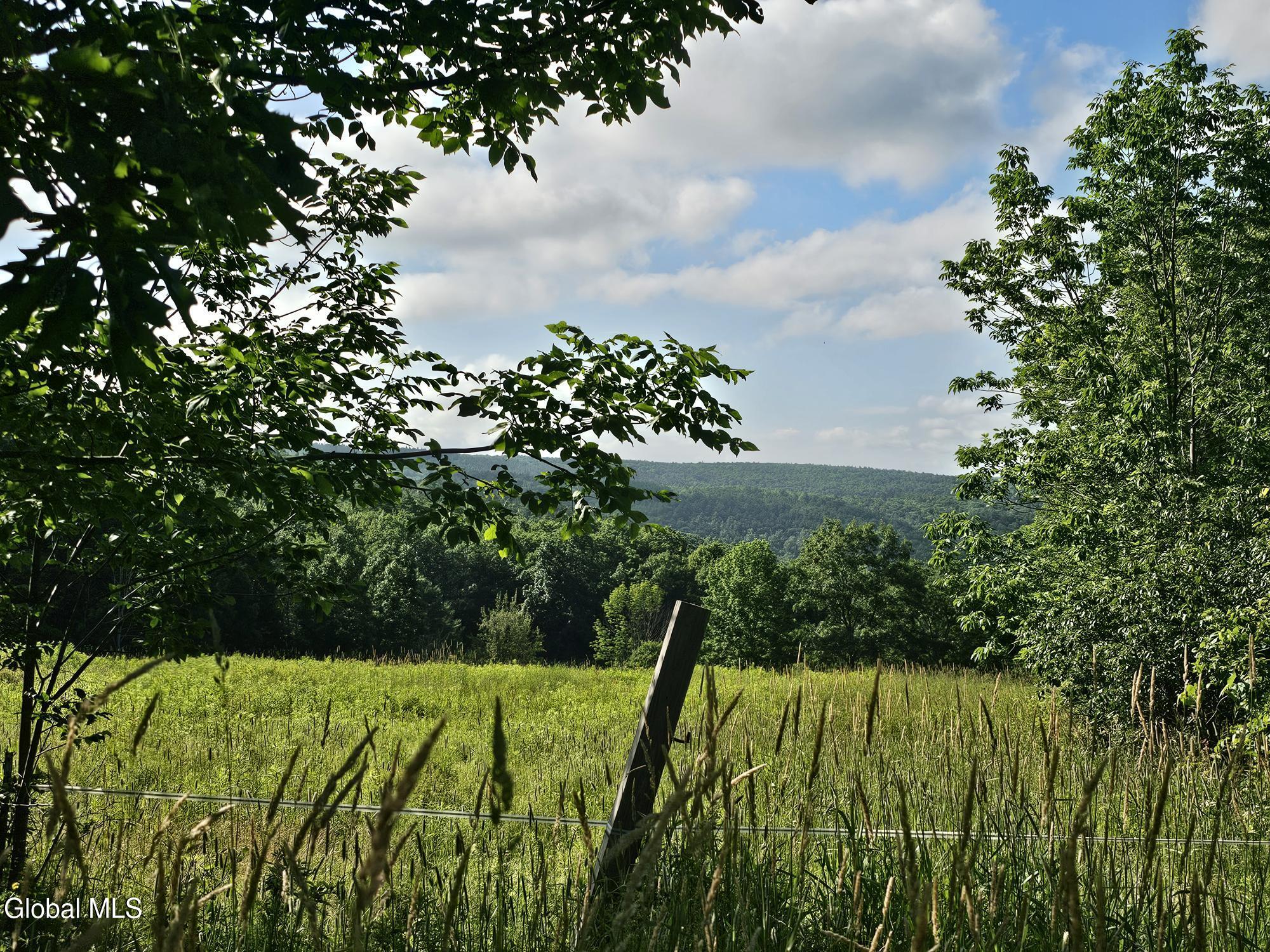 L-11 Earls Road Middleburgh, NY 12122 - Photo 8 of 15 20260709_085830