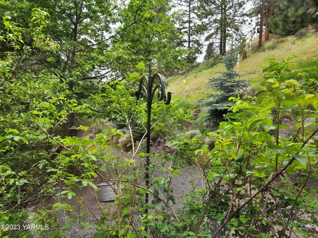 a backyard of a house with lots of plants and trees