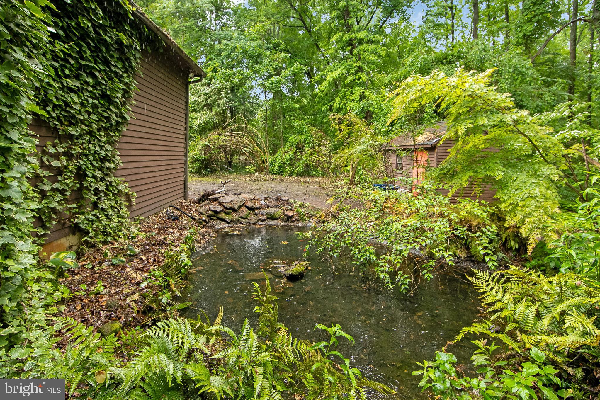 51 E Road Gibbsboro, NJ 08026 - Photo 8 of 42 a view of a yard with plants and large trees