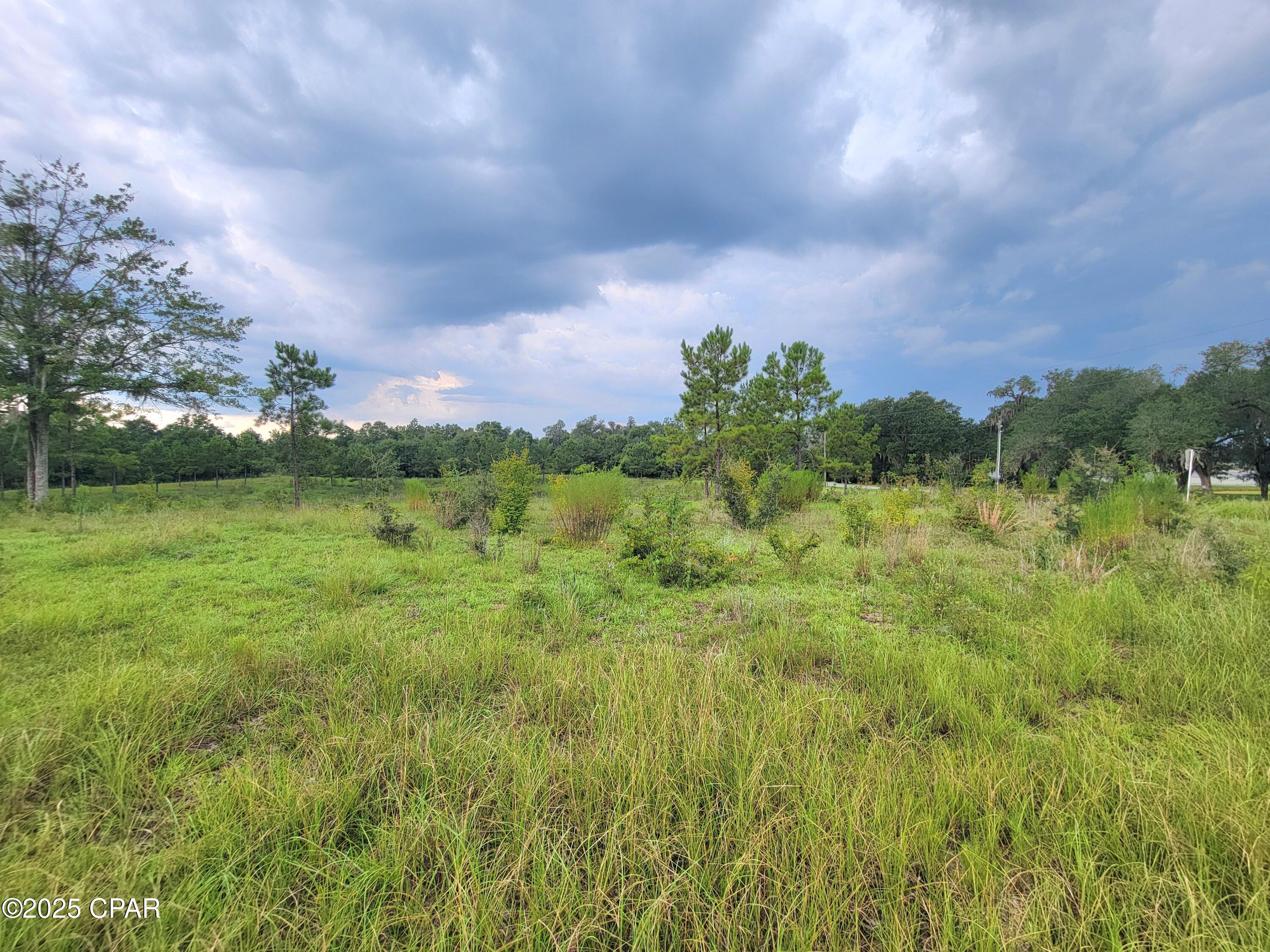 0 Lovedale Road Sneads, FL 32460 - Photo 3 of 5