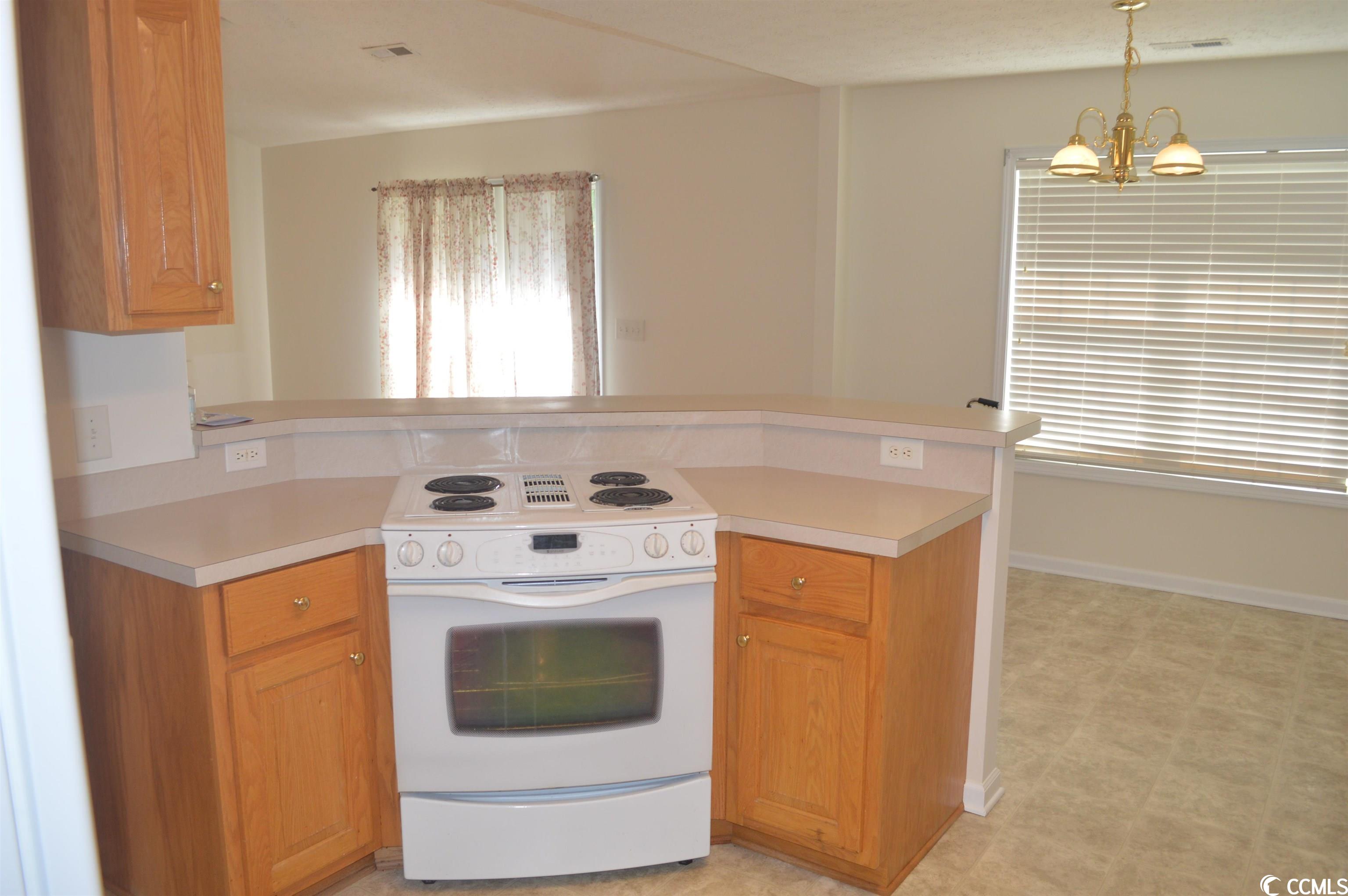 143 Talon Drive Conway, SC 29527 - Photo 4 of 21