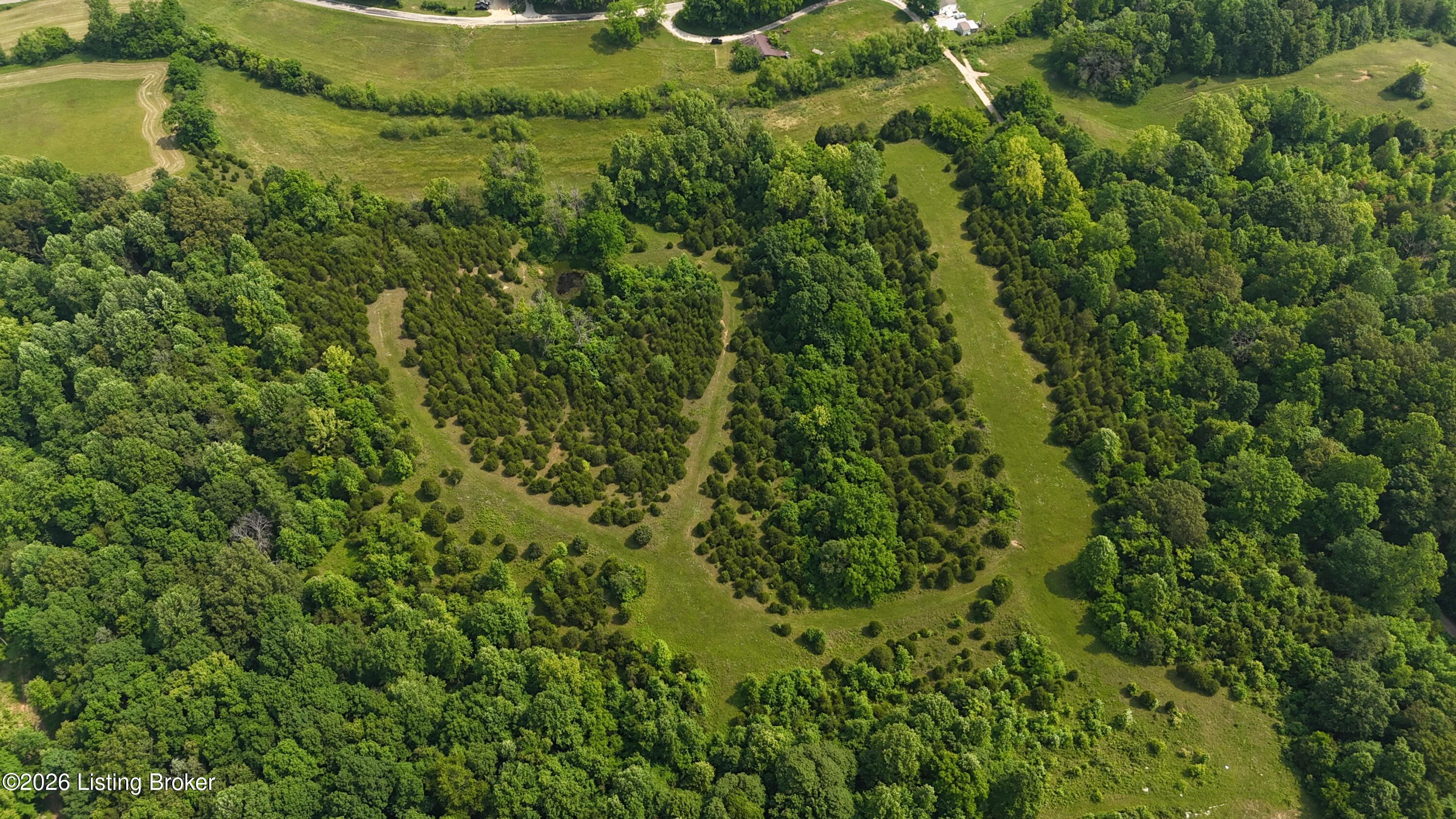 0 Locust Grove Road Bonnieville, KY 42713 - Photo 2 of 11 DJI_20250604103249_0013_D
