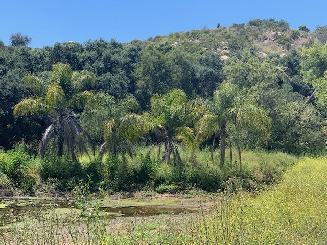 1808 Camino Rainbow Fallbrook, CA 92028 - Photo 14 of 25