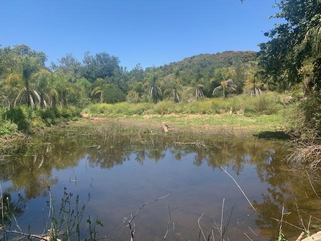 1808 Camino Rainbow Fallbrook, CA 92028 - Photo 15 of 25