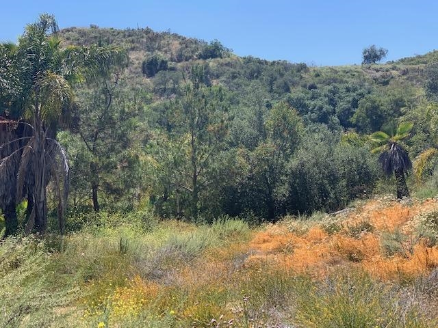 1808 Camino Rainbow Fallbrook, CA 92028 - Photo 19 of 25