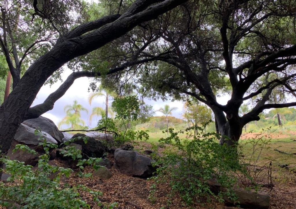 1808 Camino Rainbow Fallbrook, CA 92028 - Photo 20 of 25