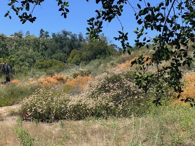 1808 Camino Rainbow Fallbrook, CA 92028 - Photo 21 of 25