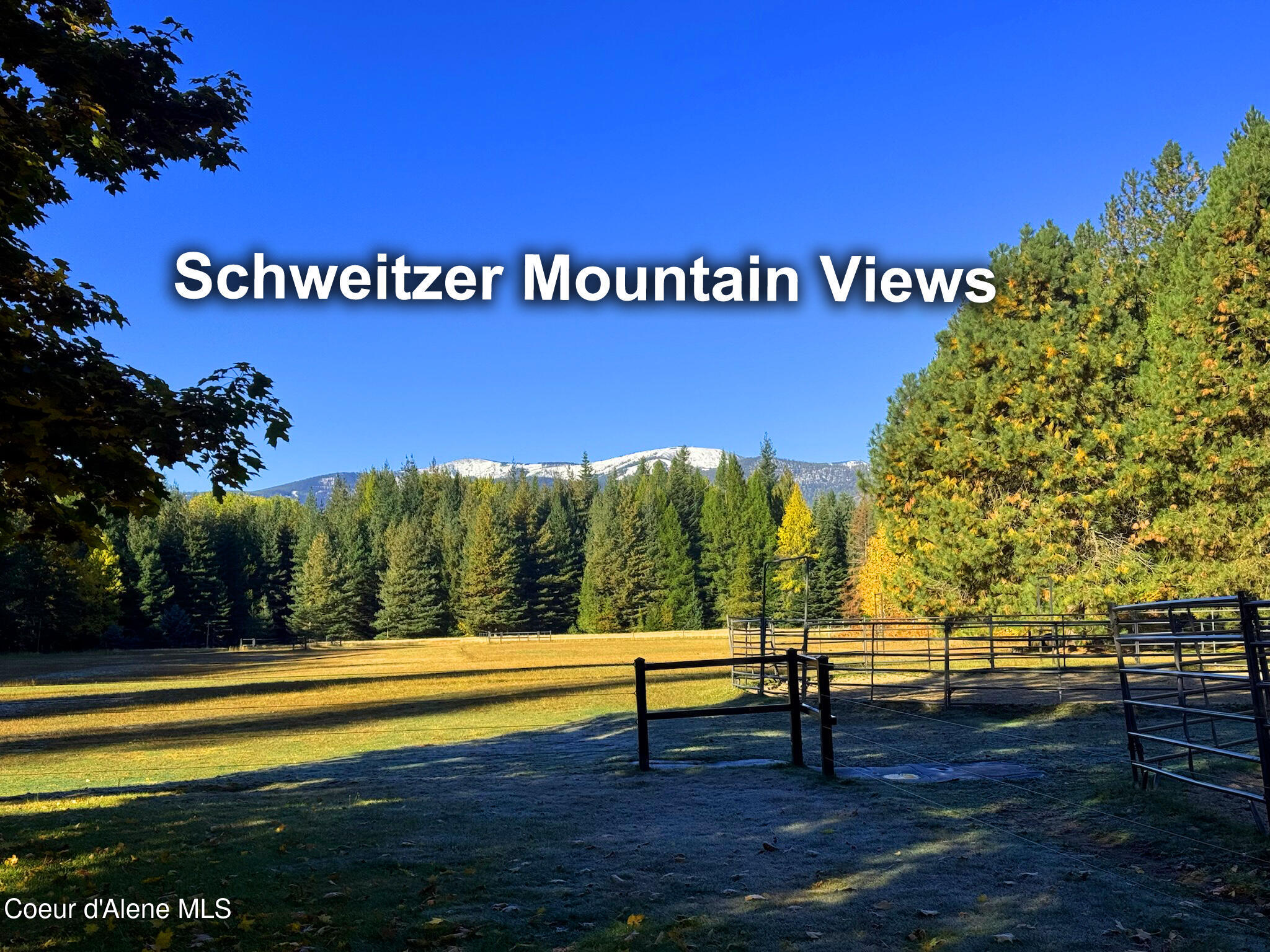 55 Trotter Lane Sandpoint, ID 83864 - Photo 7 of 80 Schweitzer Mountain Views