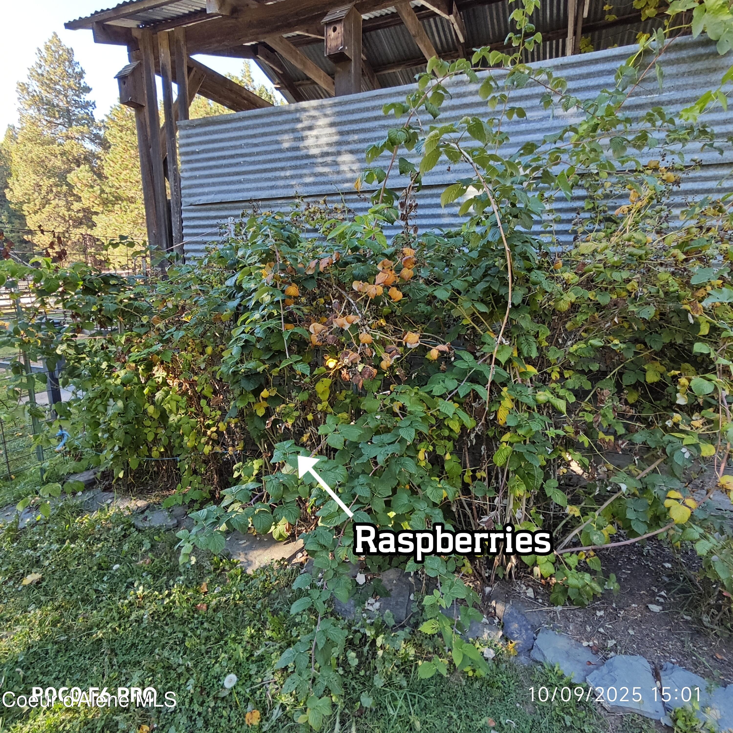 55 Trotter Lane Sandpoint, ID 83864 - Photo 72 of 80 .