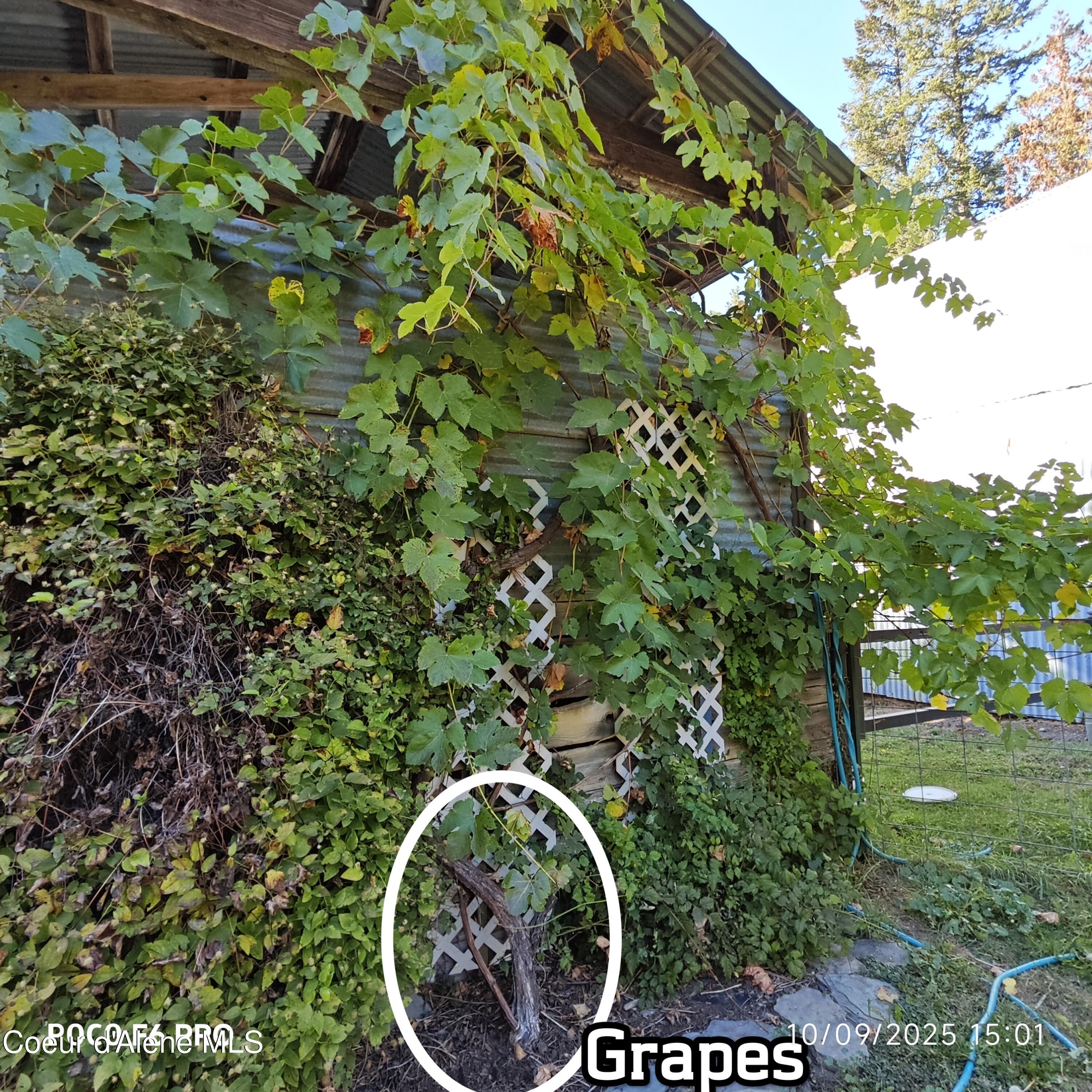 55 Trotter Lane Sandpoint, ID 83864 - Photo 73 of 80 .