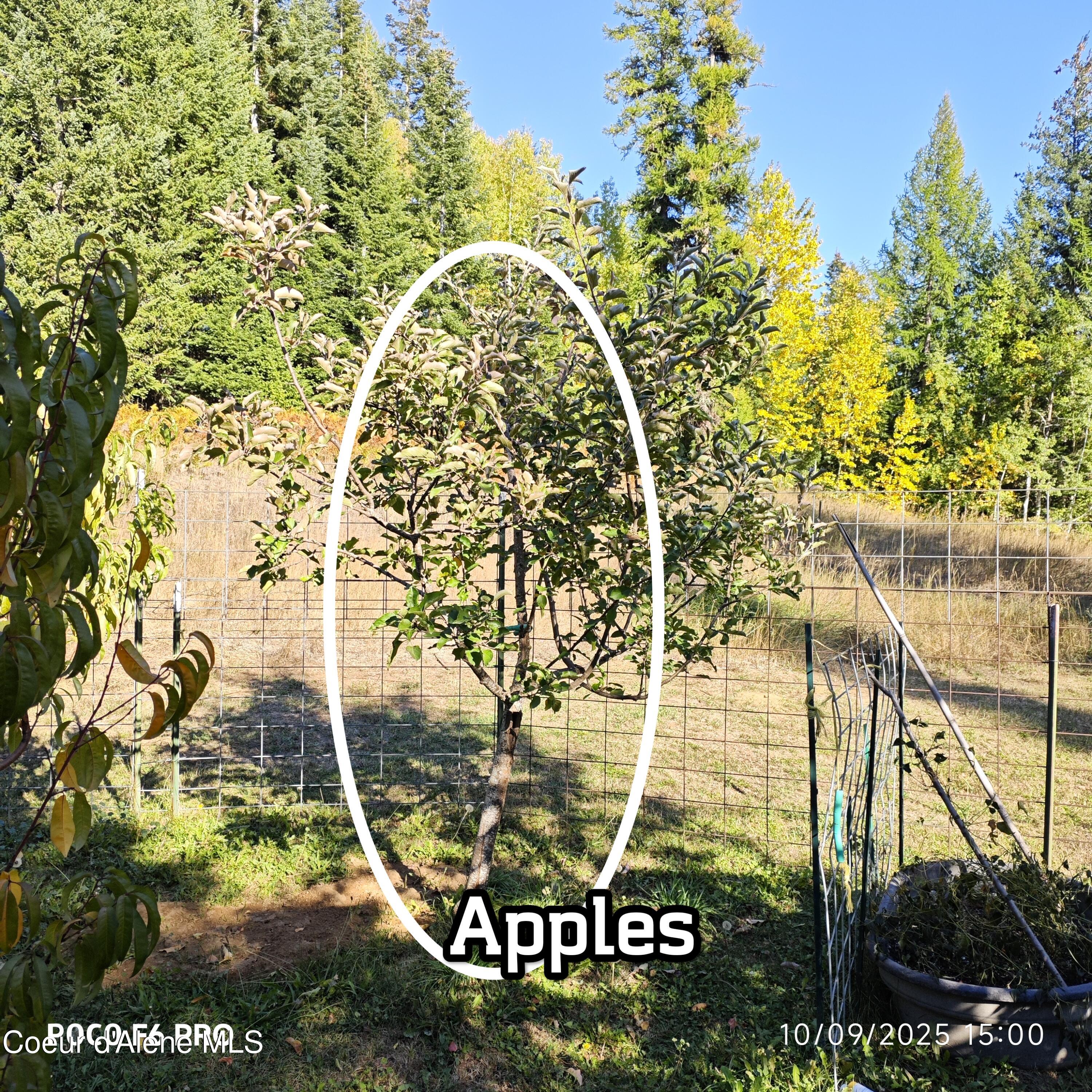 55 Trotter Lane Sandpoint, ID 83864 - Photo 75 of 80 .