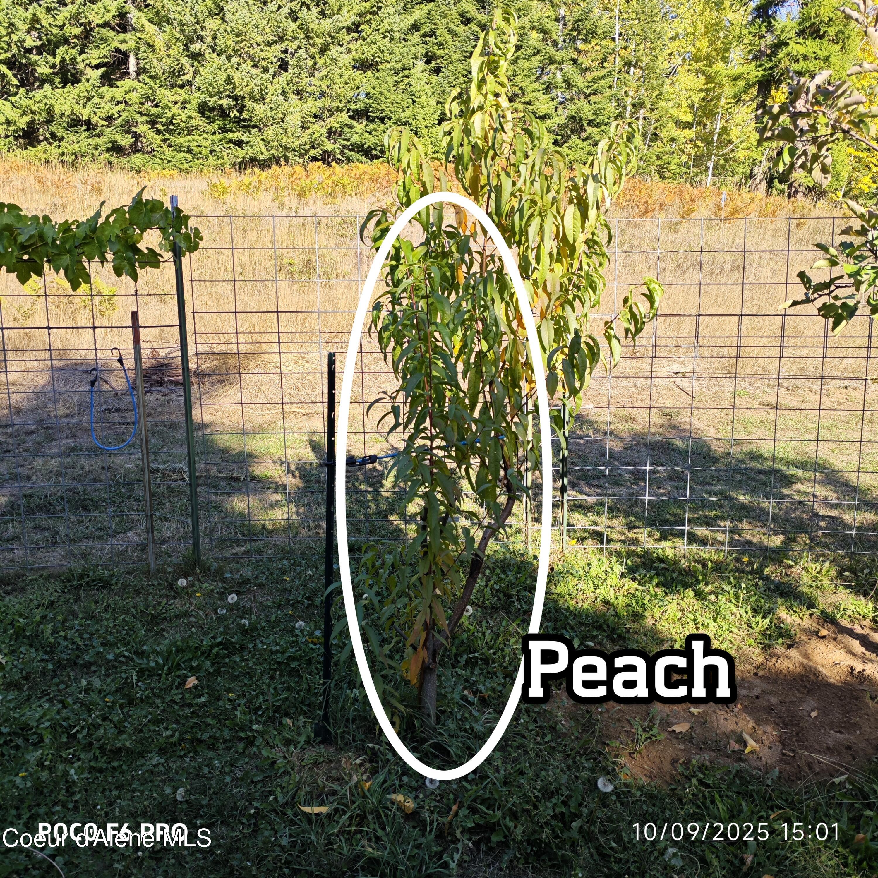 55 Trotter Lane Sandpoint, ID 83864 - Photo 79 of 80 .