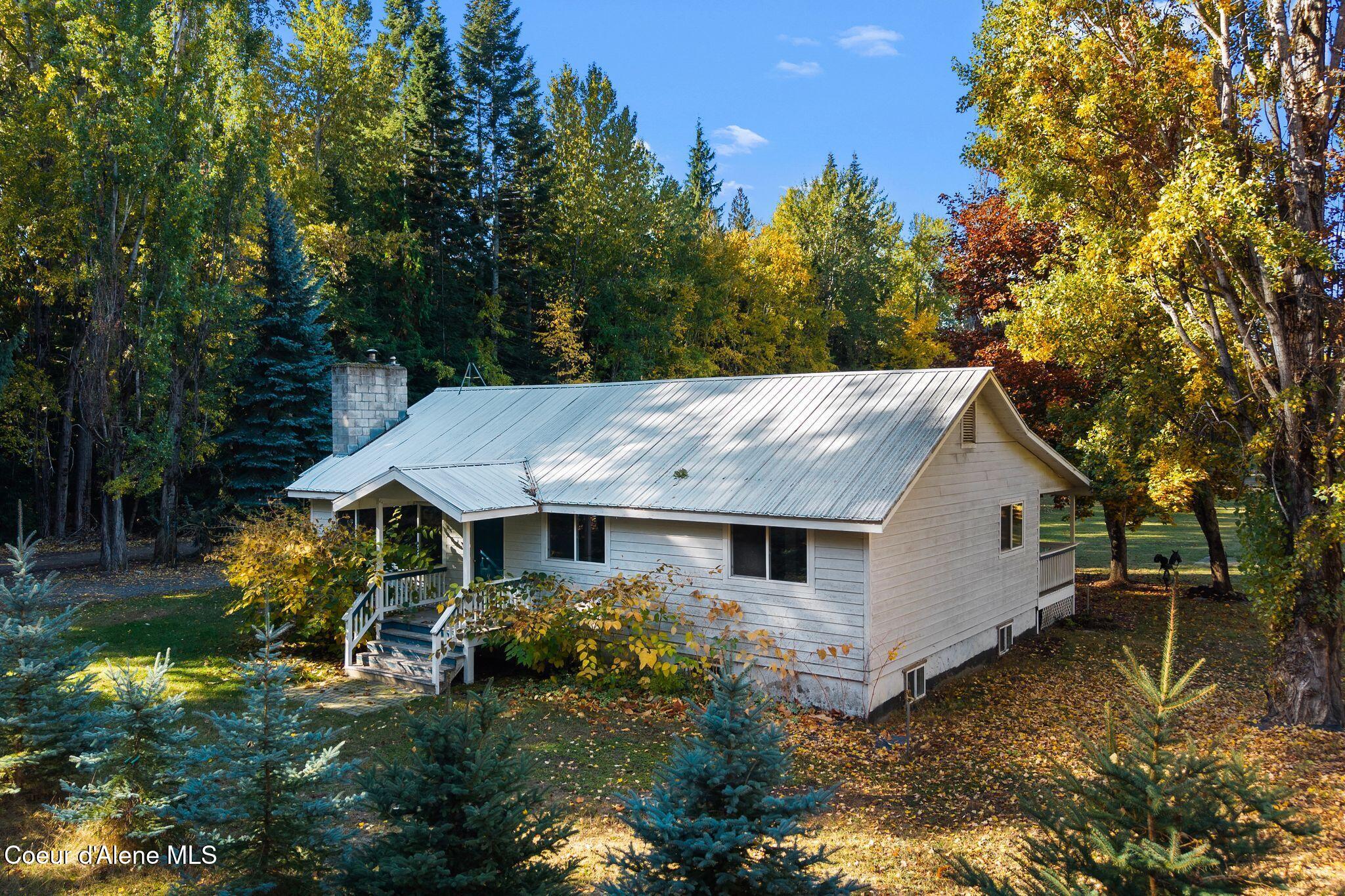 55 Trotter Lane Sandpoint, ID 83864 - Photo 80 of 80 Maturing blue spruces