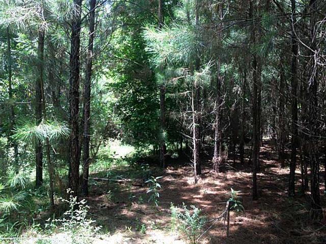 51092 Letchworth Road Franklinton, LA 70438 - Photo 11 of 15 Gallery Image 11
