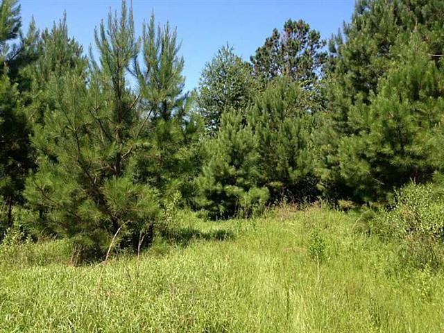 51092 Letchworth Road Franklinton, LA 70438 - Photo 13 of 15 Gallery Image 13