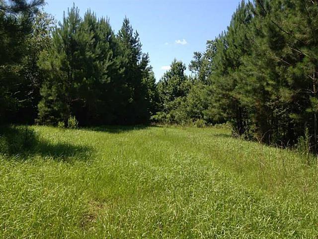 51092 Letchworth Road Franklinton, LA 70438 - Photo 2 of 15 Gallery Image 2