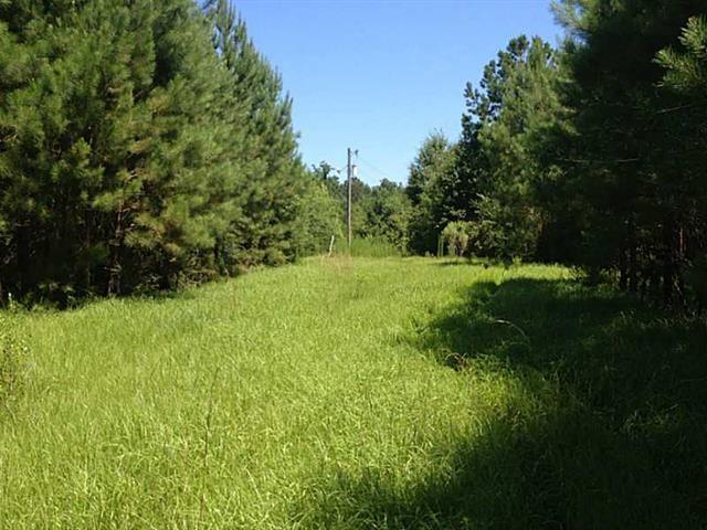 51092 Letchworth Road Franklinton, LA 70438 - Photo 4 of 15 Gallery Image 4