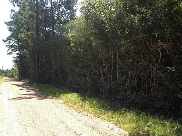 51092 Letchworth Road Franklinton, LA 70438 - Photo 8 of 15 Gallery Image 8