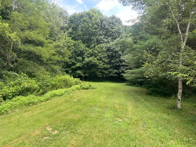 24229 Sanes Creek Road Laurel, IN 47024 - Photo 48 of 54