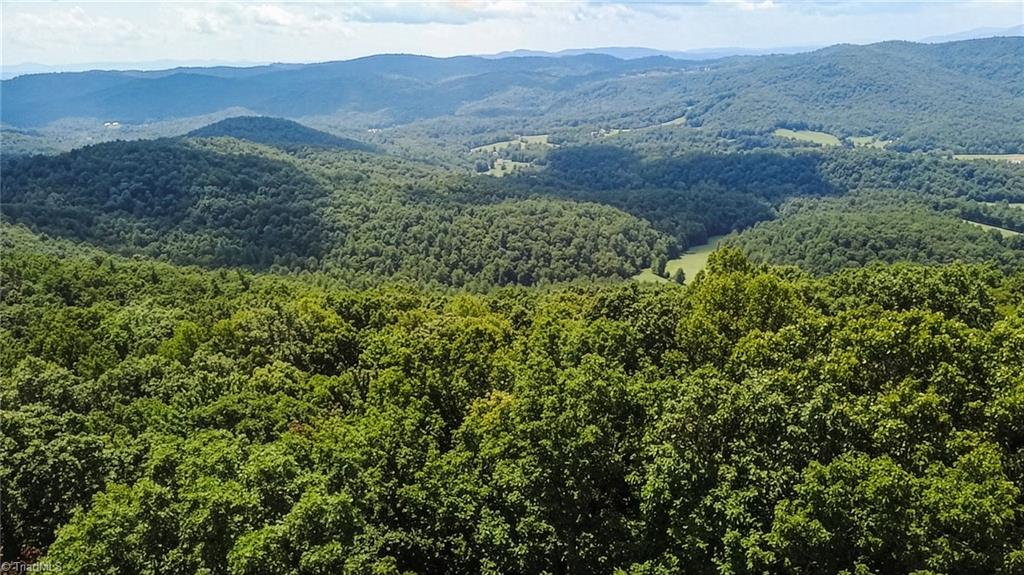 Tbd Spencer Ridge Road McGrady, NC 28649 - Photo 3 of 23 Gallery Image 3