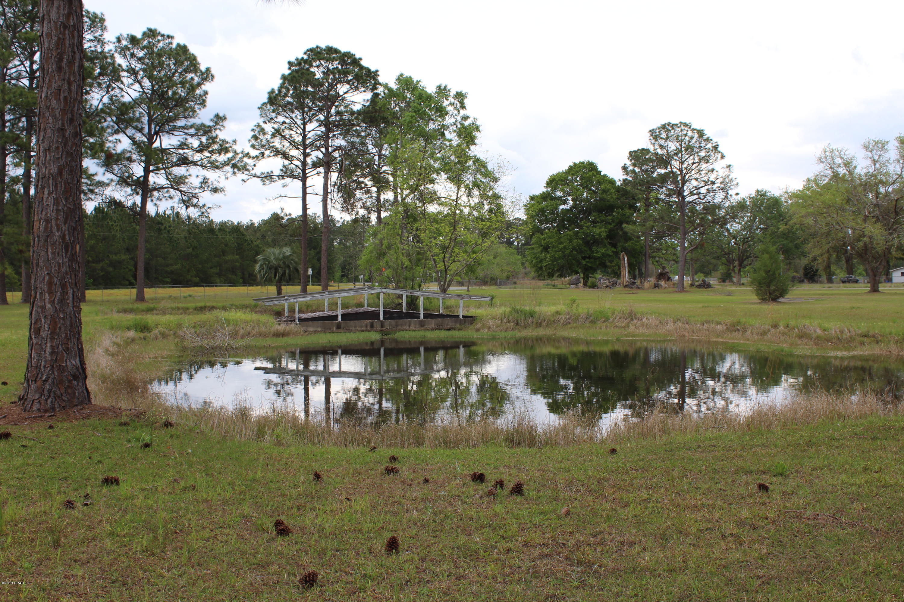4108 Pate Pond Road Vernon, FL 32462 - Photo 3 of 9 Gallery Image 3