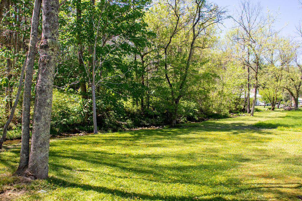9176 Wagner Road Bristol, VA 24202 - Photo 10 of 20 IMG_3300-HDR