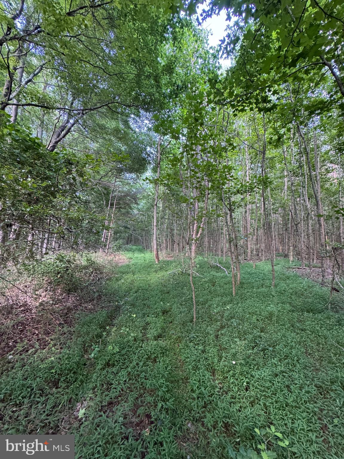 7 Kraft Road Vienna, MD 21869 - Photo 4 of 18 Gallery Image 4