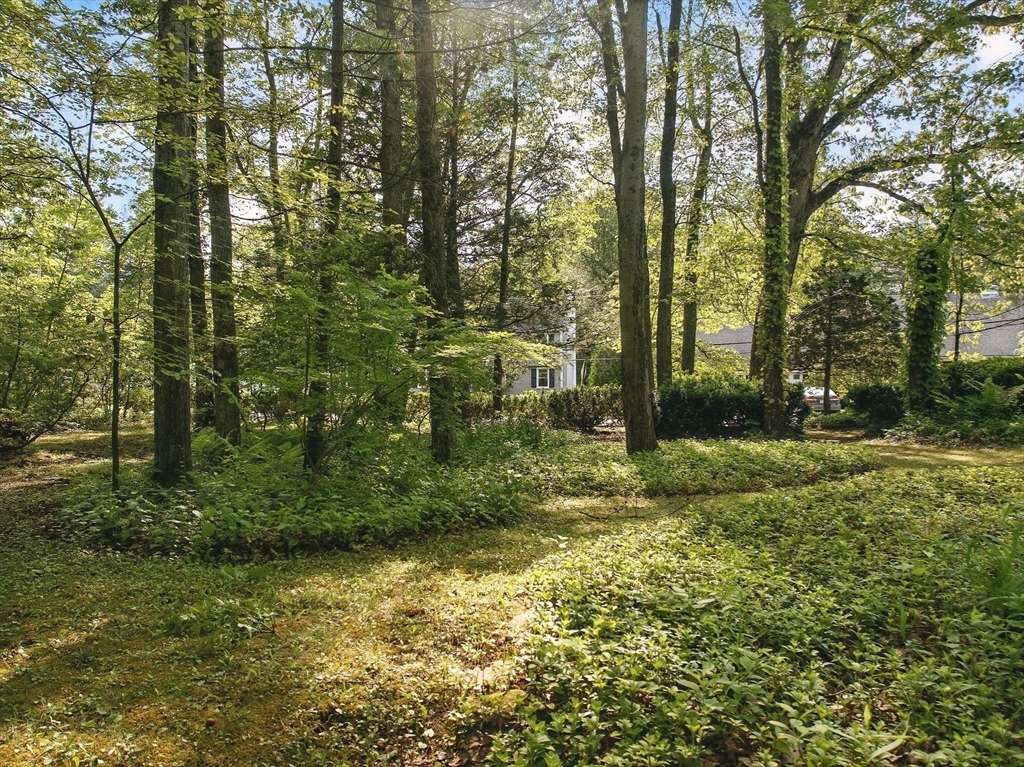 128 Lovell Road Holden, MA 01520 - Photo 31 of 36 Gallery Image 31