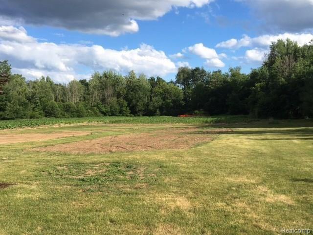 7133 West Allen Road Fowlerville, MI 48836 - Photo 17 of 19 IMG_2808.JPG