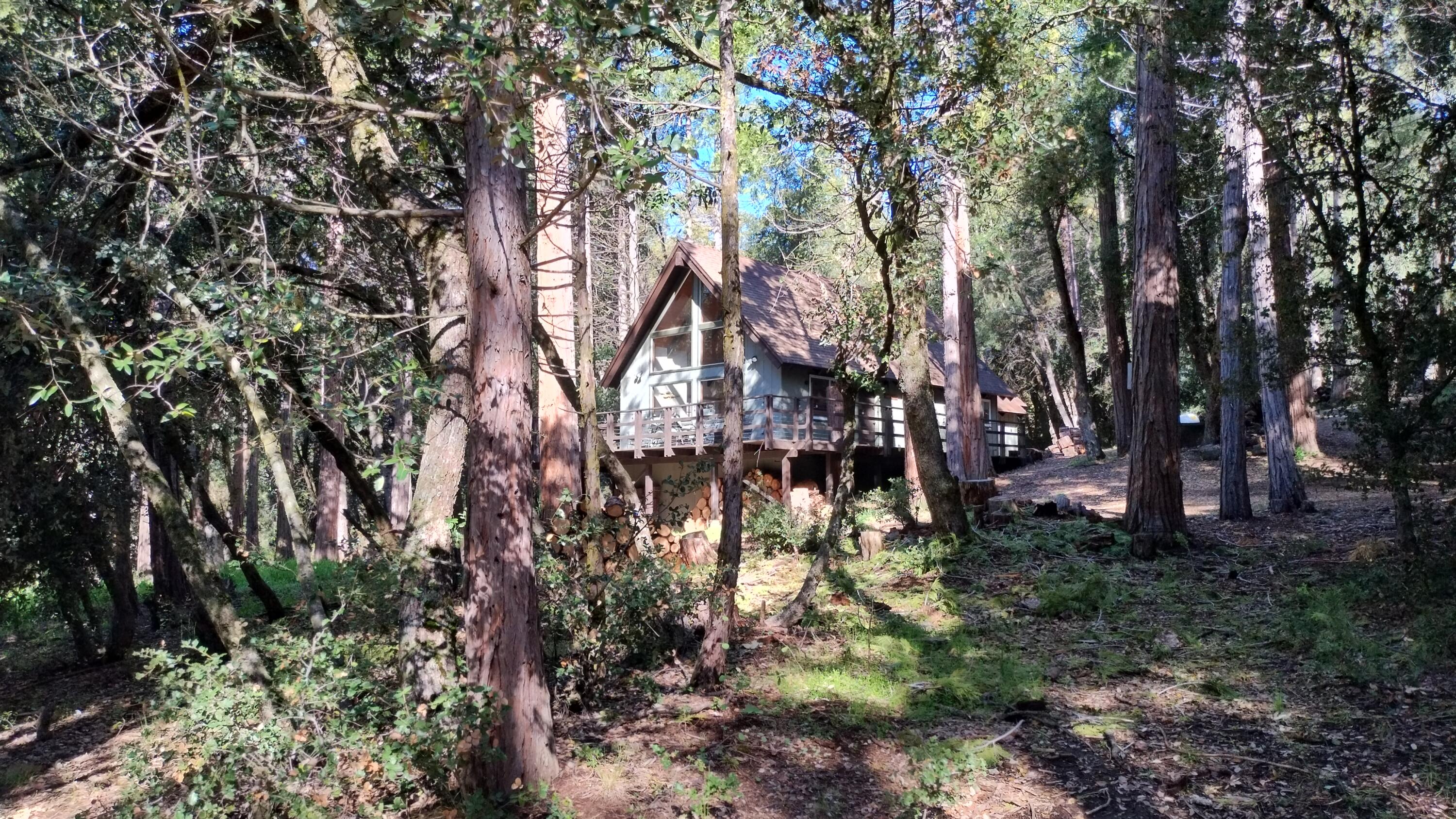 1693 Forest Rte 21S94 Camp Nelson, CA 93265 - Photo 69 of 86 a backyard of a house with lots of green space