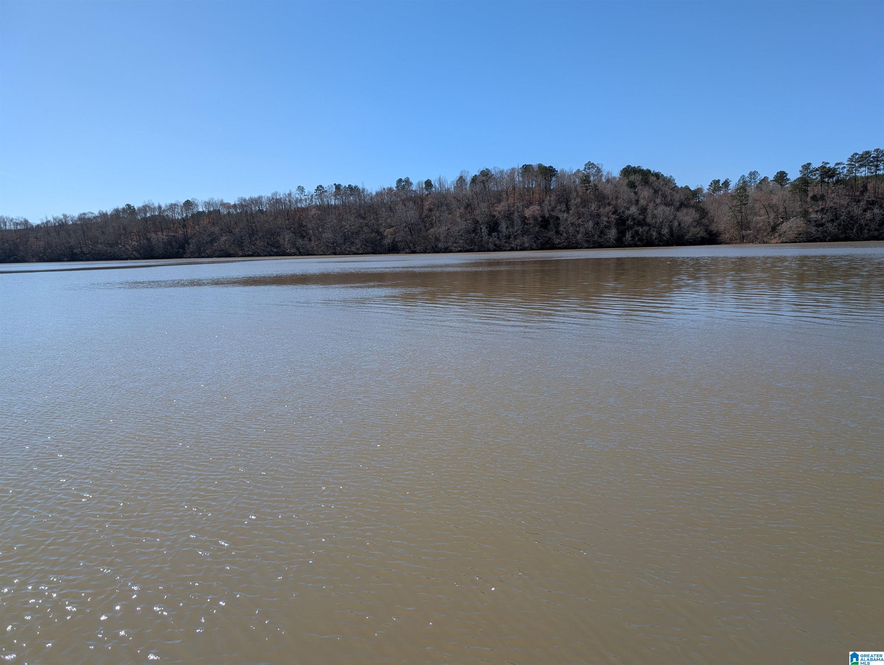 136 Steephill Road Adger, AL 35006 - Photo 2 of 33