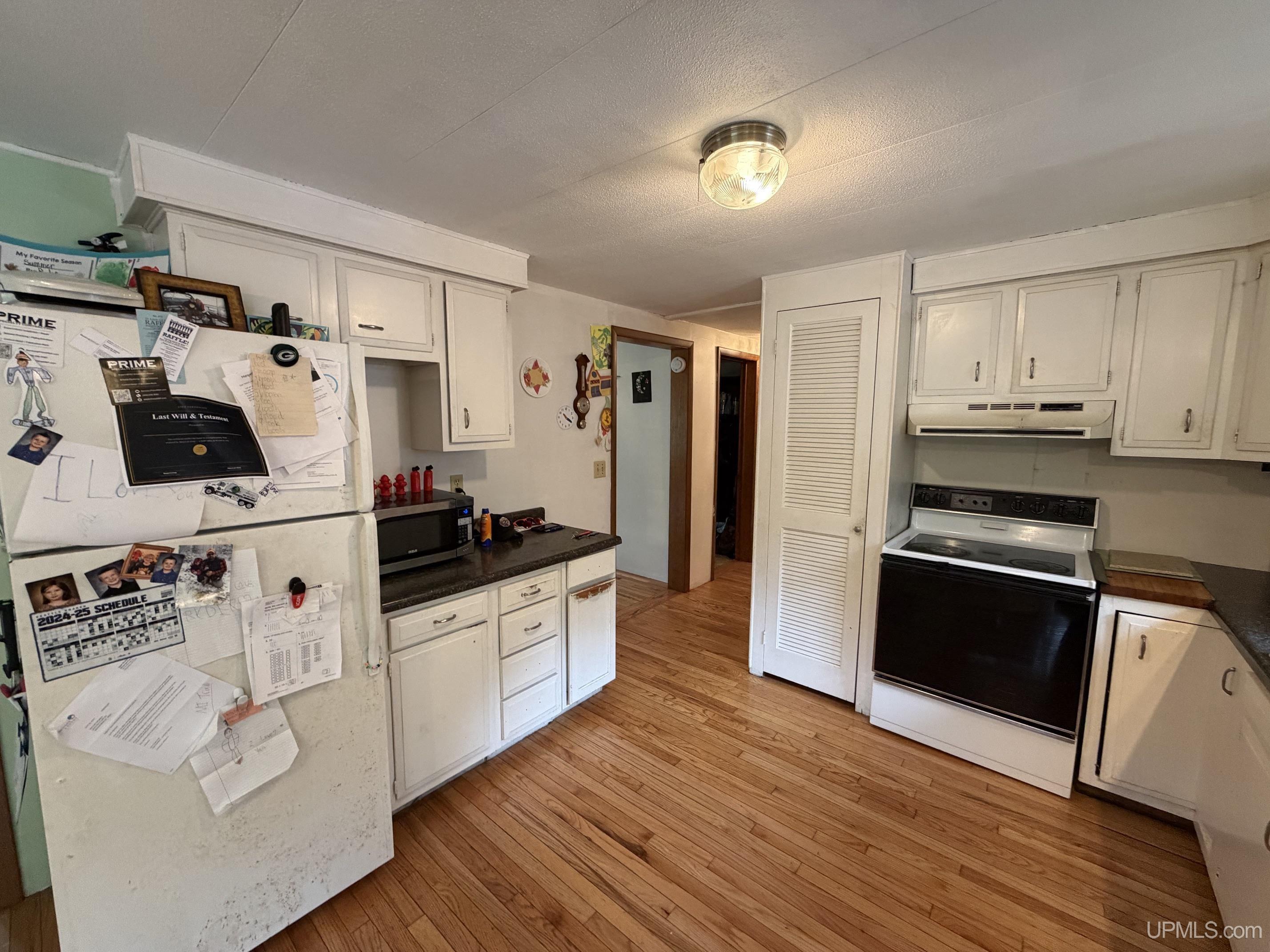 24797 Ruth Lake Road Michigamme, MI 49861 - Photo 11 of 38