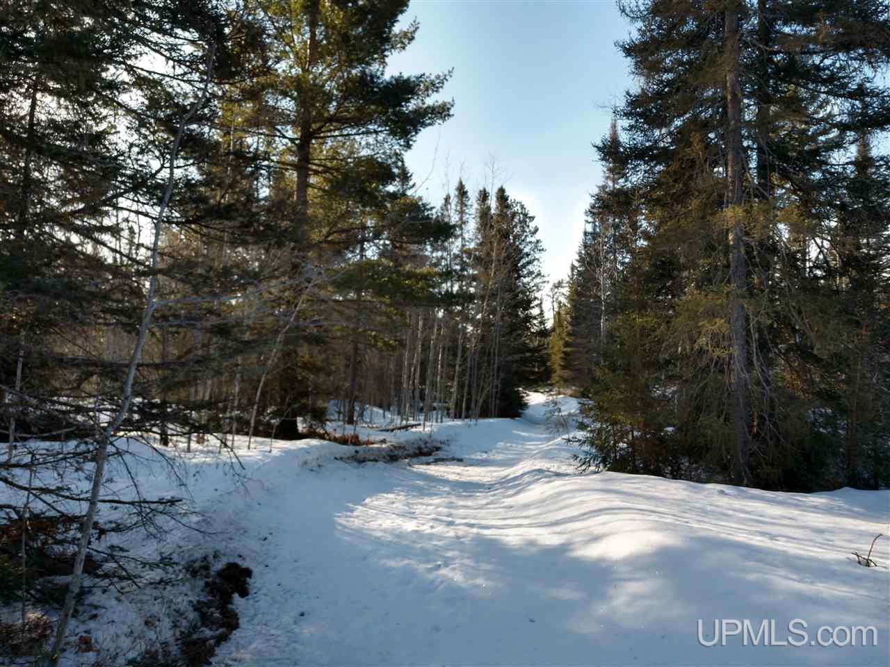 39-acres 39-acres Co Road Ishpeming, MI 49849 - Photo 24 of 39