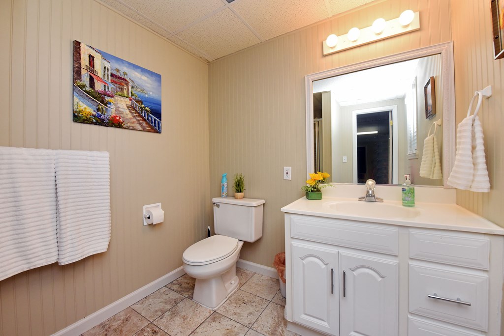 382 Pat Colwell Road Blairsville, GA 30512 - Photo 35 of 42 a spacious bathroom with a toilet a sink and mirror