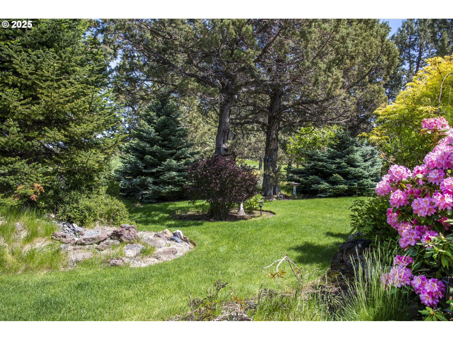 454 Tanager Drive Redmond, OR 97756 - Photo 30 of 31 a green field with lots of flowers