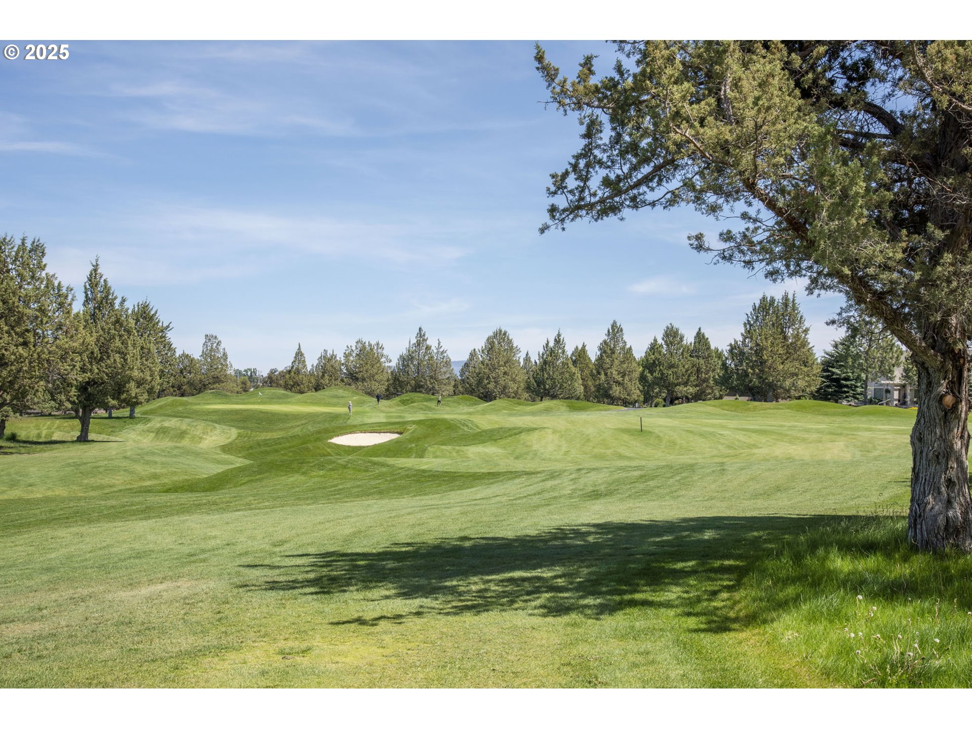 454 Tanager Drive Redmond, OR 97756 - Photo 31 of 31 a view of an ocean from a yard
