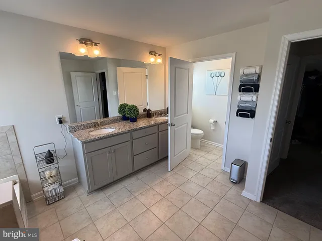 a bathroom with a sink a toilet and a mirror