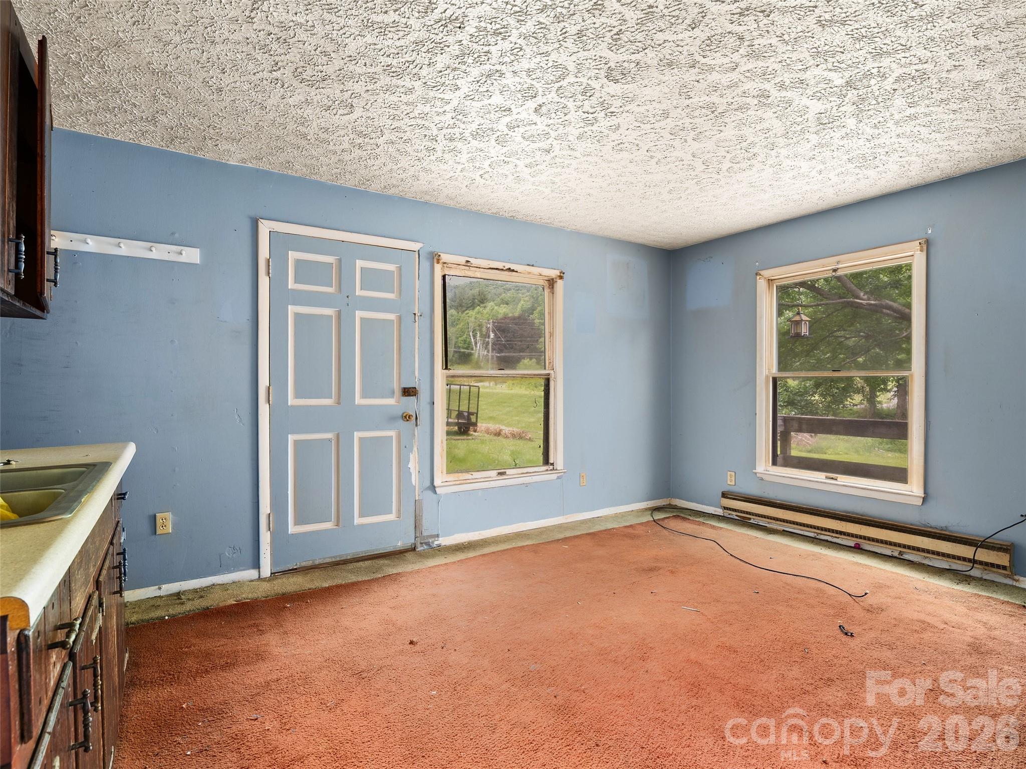 277 Orion Davis Road Waynesville, NC 28786 - Photo 11 of 23